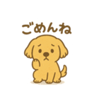 ふわもこレトリバー（個別スタンプ：5）