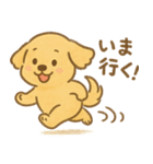 ふわもこレトリバー（個別スタンプ：6）