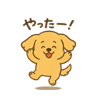 ふわもこレトリバー（個別スタンプ：11）