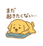 ふわもこレトリバー（個別スタンプ：16）