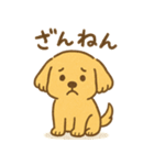 ふわもこレトリバー（個別スタンプ：17）