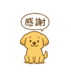 ふわもこレトリバー（個別スタンプ：19）
