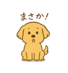 ふわもこレトリバー（個別スタンプ：21）