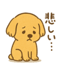 ふわもこレトリバー（個別スタンプ：24）