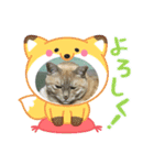 大福スタンプ 〜日常Ver〜（個別スタンプ：1）