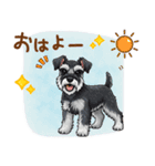 毎日使える！ミニチュアシュナウザーの日常（個別スタンプ：1）