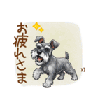 毎日使える！ミニチュアシュナウザーの日常（個別スタンプ：2）