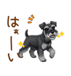 毎日使える！ミニチュアシュナウザーの日常（個別スタンプ：9）