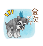 毎日使える！ミニチュアシュナウザーの日常（個別スタンプ：10）