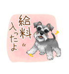毎日使える！ミニチュアシュナウザーの日常（個別スタンプ：11）