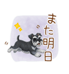 毎日使える！ミニチュアシュナウザーの日常（個別スタンプ：14）