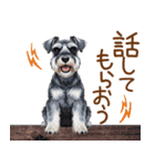 毎日使える！ミニチュアシュナウザーの日常（個別スタンプ：17）
