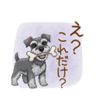 毎日使える！ミニチュアシュナウザーの日常（個別スタンプ：20）