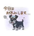 毎日使える！ミニチュアシュナウザーの日常（個別スタンプ：22）