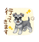毎日使える！ミニチュアシュナウザーの日常（個別スタンプ：23）