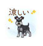 毎日使える！ミニチュアシュナウザーの日常（個別スタンプ：24）