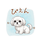 毎日使える！表情ゆたかマルチーズ（個別スタンプ：4）