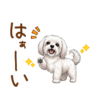 毎日使える！表情ゆたかマルチーズ（個別スタンプ：9）