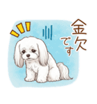 毎日使える！表情ゆたかマルチーズ（個別スタンプ：10）