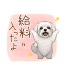 毎日使える！表情ゆたかマルチーズ（個別スタンプ：11）