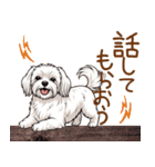 毎日使える！表情ゆたかマルチーズ（個別スタンプ：17）