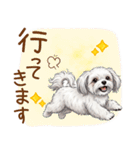 毎日使える！表情ゆたかマルチーズ（個別スタンプ：22）