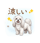 毎日使える！表情ゆたかマルチーズ（個別スタンプ：23）