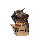 フレブルオーリーくん（個別スタンプ：1）