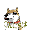 いつもゆるい柴犬さん。（個別スタンプ：2）