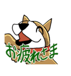 いつもゆるい柴犬さん。（個別スタンプ：4）