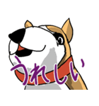 いつもゆるい柴犬さん。（個別スタンプ：5）
