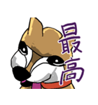いつもゆるい柴犬さん。（個別スタンプ：6）