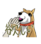 いつもゆるい柴犬さん。（個別スタンプ：8）