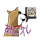 いつもゆるい柴犬さん。（個別スタンプ：9）