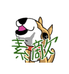 いつもゆるい柴犬さん。（個別スタンプ：10）