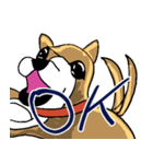 いつもゆるい柴犬さん。（個別スタンプ：11）