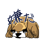 いつもゆるい柴犬さん。（個別スタンプ：13）