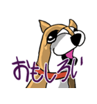 いつもゆるい柴犬さん。（個別スタンプ：14）