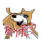 いつもゆるい柴犬さん。（個別スタンプ：15）