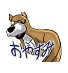 いつもゆるい柴犬さん。（個別スタンプ：16）