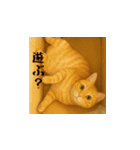 小花たちのリアル猫スタンプ（日本語）（個別スタンプ：3）