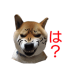 柴犬愈史郎と猫の茶々丸スタンプ（個別スタンプ：29）