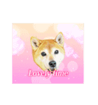柴犬ひるねとシーズーふとん［01］（個別スタンプ：12）