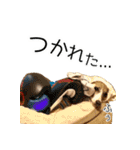 毎日つかえる！イタグレ！【日常会話】（個別スタンプ：11）