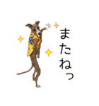 毎日つかえる！イタグレ！【日常会話】（個別スタンプ：20）