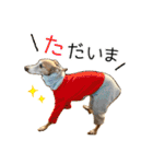 毎日つかえる！イタグレ！【日常会話】（個別スタンプ：28）