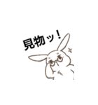 ゆかいなアニマルwithメンダコ（個別スタンプ：8）