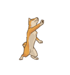 メッセージ柴犬（個別スタンプ：2）
