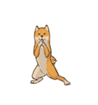 メッセージ柴犬（個別スタンプ：6）