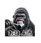 ゴリラ×高校生の日常！3Dリアル（個別スタンプ：1）